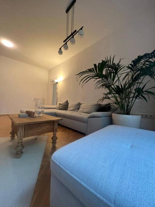 Ganzes Haus In Der Altstadt, Ideal Fuer 2 Personen, 4 Gaeste Moeglich Quakenbruck Exterior photo